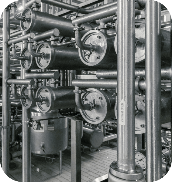 Lactose production site