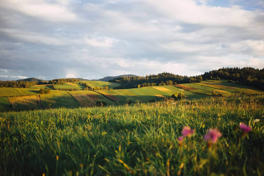 sustainable sourcing