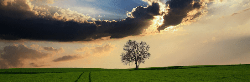 Country side
