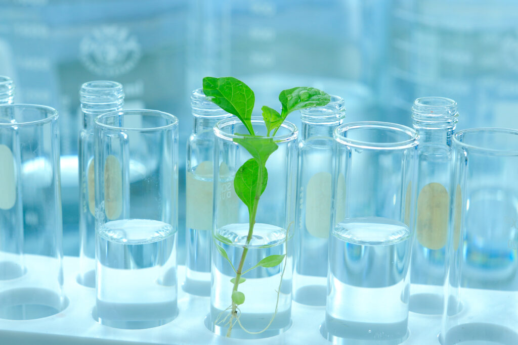Laboratory PHARMACEUTICAL LACTOSE